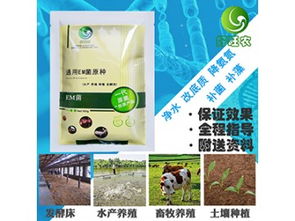 河南好旺農(nóng)生物科技 高效降低養(yǎng)蝦池塘氨氮含量的綜合方案